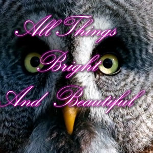 All Things Bright And Beautiful