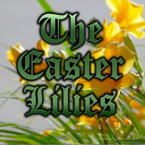 The Easter Lilies